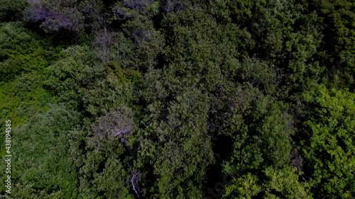 Aerial drone flying alongside ocean cliffs with greenery and mountains in the background.