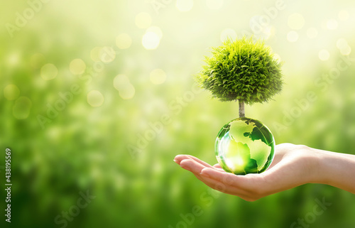Earth Day or World Environment Day, environmentally friendly concept. Save our Planet, restore and protect Green Nature, sustainable lifestyle and Climate literacy theme. Tree grows on globe in hand. photo