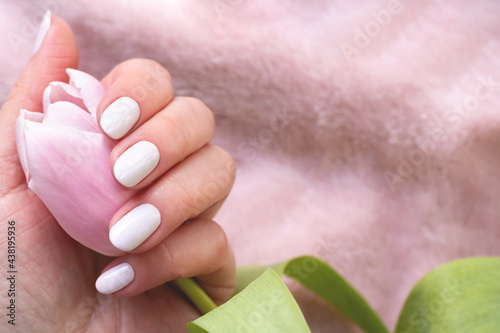 Female hand with beautiful manicure - white ivory nails with tulip flower on blurred pink fabric background with copy space. Selective focus