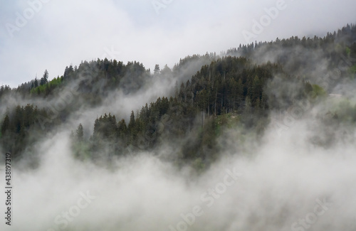 Foggy swiss alpine landscape - forest in mist