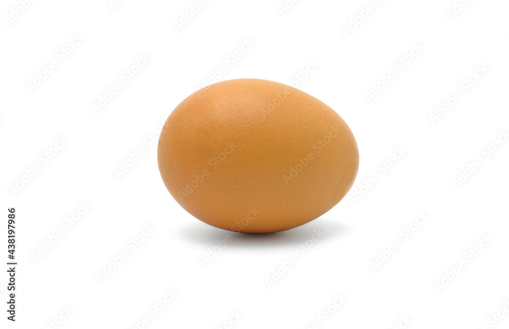 Fresh chicken egg isolated on white background. Fresh chicken egg isolated on white background.