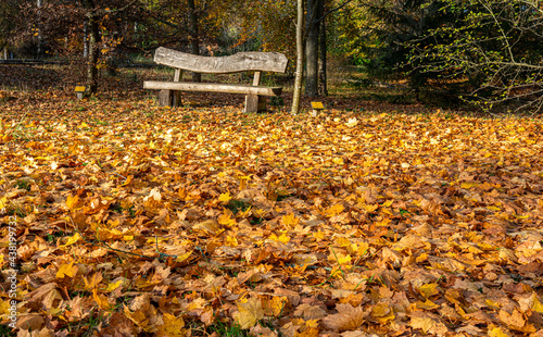 Herbstlaub im Park