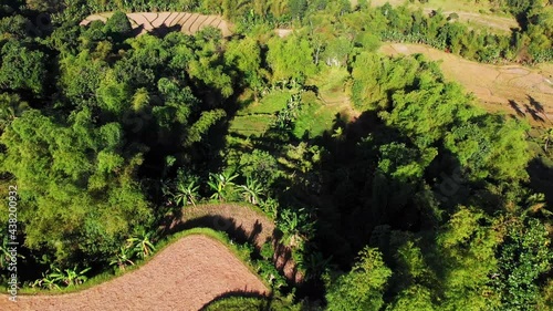 Aerial view over farmland in mountains, Philippines	 photo