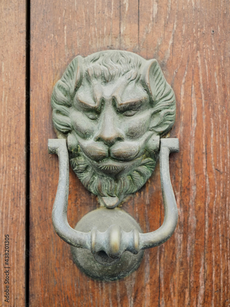 Wooden door, detail. Door knocker in the shape of a lion.