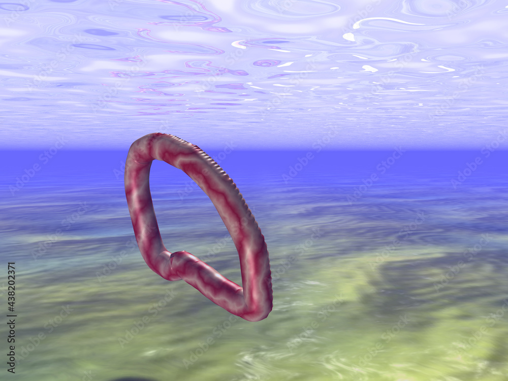 Mysterious object under water Mysterious object under water