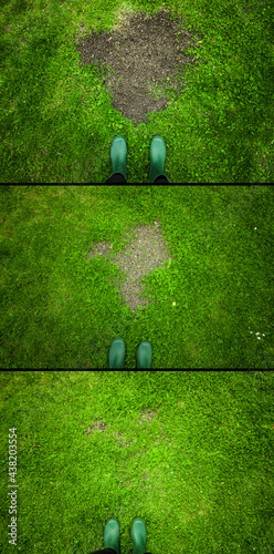 Wachstum von Grassamen im Garten