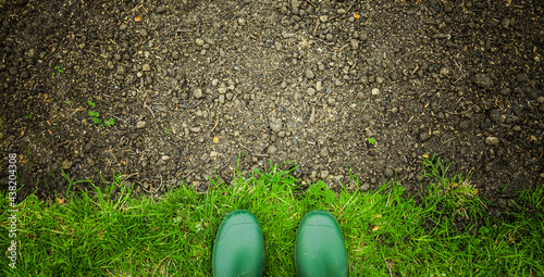 Wachstum von Grassamen im Garten