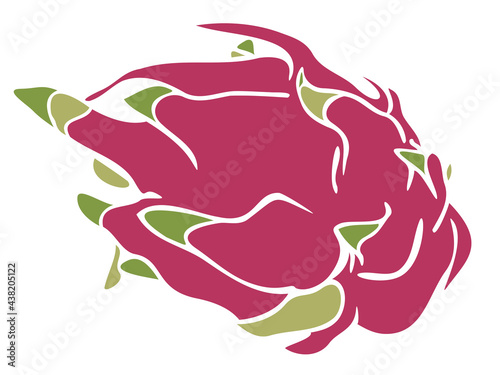 Vector illustration of pitaya. Dragon fruit silhouette.