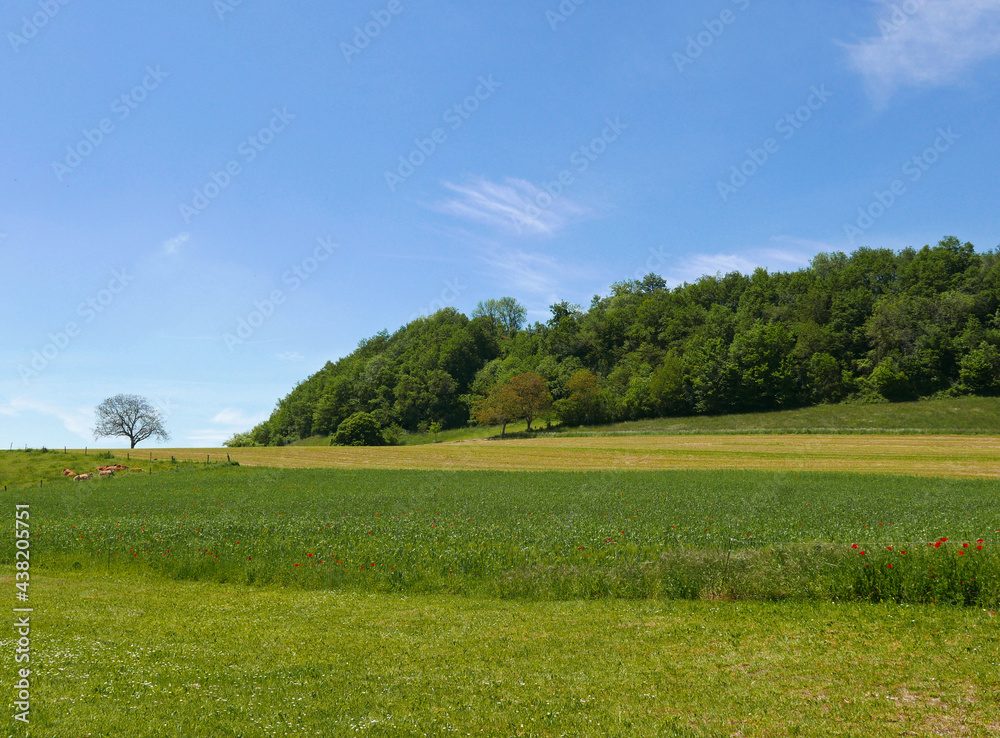idilliaca vista della verde regione francese del jura idilliaca vista della verde regione francese del jura