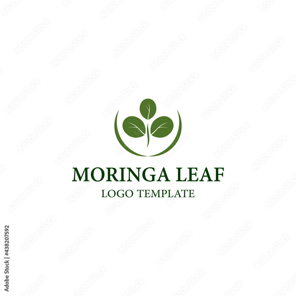 Moringa oleifera Leaf Logo Template Moringa oleifera Leaf Logo Template