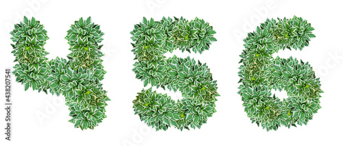 Numbers 4, 5, 6 made from Hosta plant leaves
