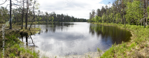 Green forest nature landscapes with lakes in the remote Tresticklan National Park of Sweden.