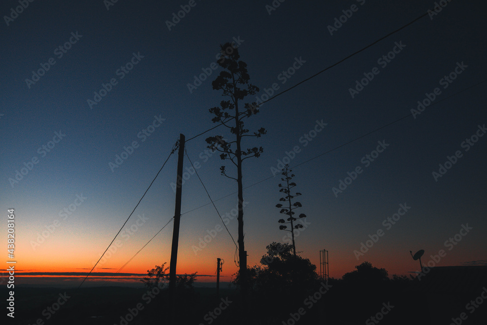 power line at sunset