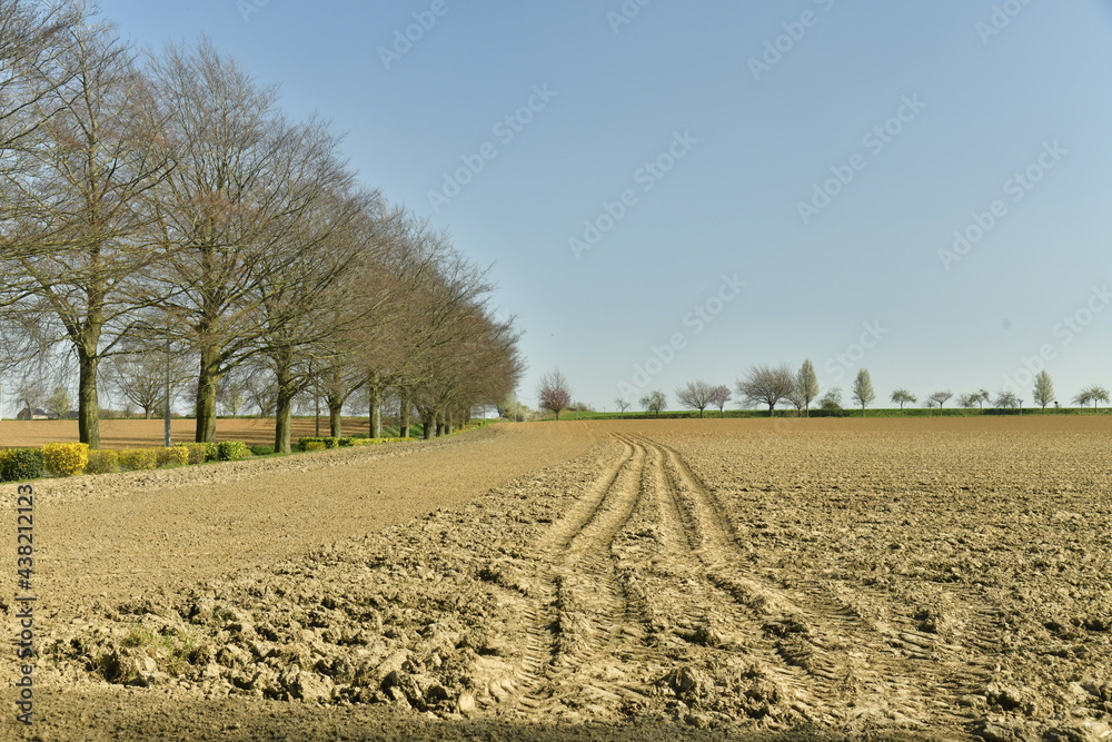 Traces de roues de tracteur à l'un des champs au début du printemps à Ecaussinnes 