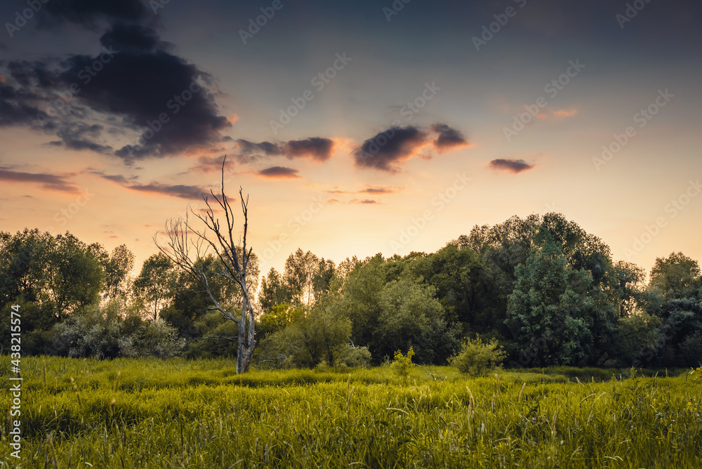 Fototapeta premium Sun is going down