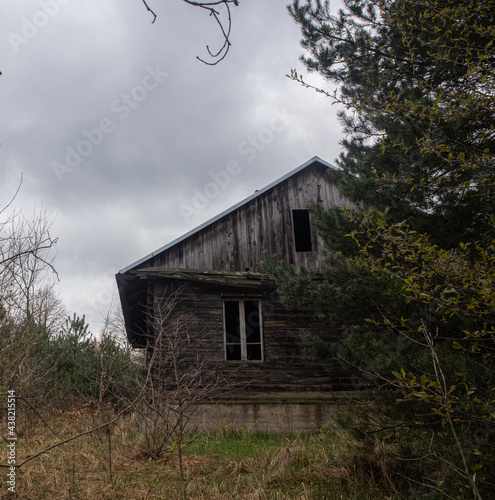 Old house in the forest