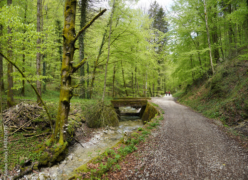 Radtour bei Bergen: Um den Hochfelln entlang der Schwarzen Ache photo