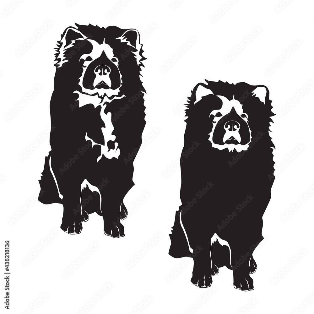 Fototapeta premium Chow chow black silhouette, vector illustration isolated on white background. Chow breed puppy