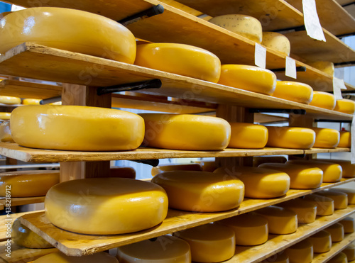 Dutch cheese warehouse in Holland