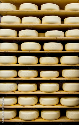 Dutch cheese warehouse in Holland