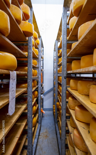Dutch cheese warehouse in Holland