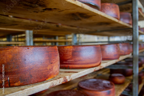 Dutch cheese warehouse in Holland