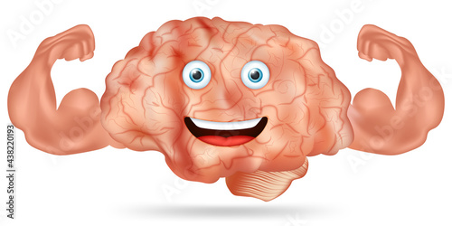 Strong healthy human brain and powerful cardiovascular with muscle biceps isolated on white background as healthy fit and health care concept. vector illustration