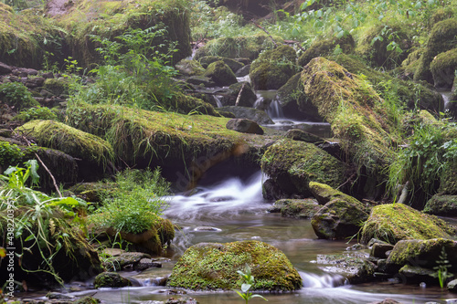 kleiner Fluss im Wald
