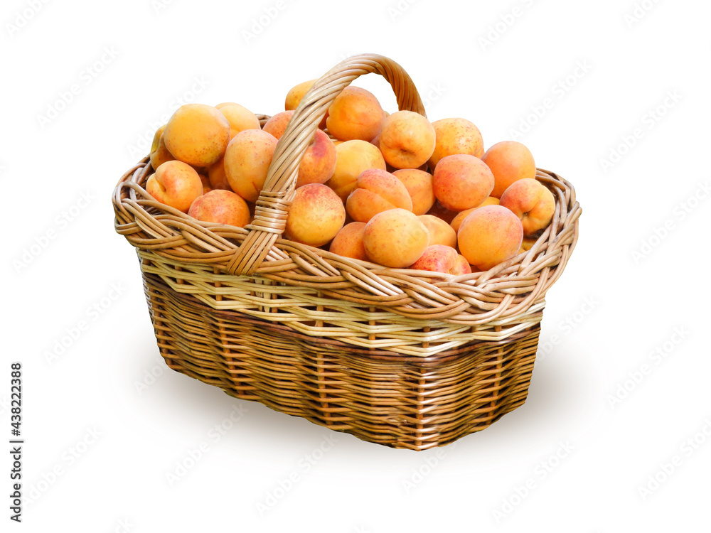 Wicker willow basket with one handle, full of ripe fresh apricots, isolated on white background.