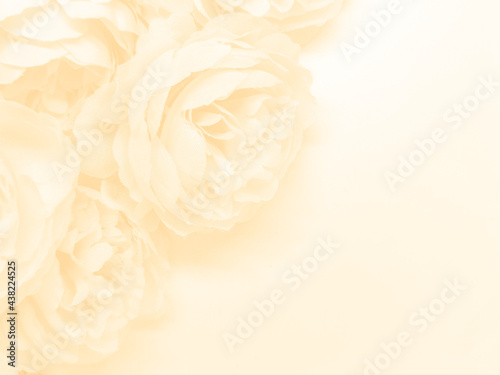 Beautiful abstract gray and yellow flowers on white background, gold flower frame and brown leaves texture, brown background, orange and gold love banner, brown and yellow background