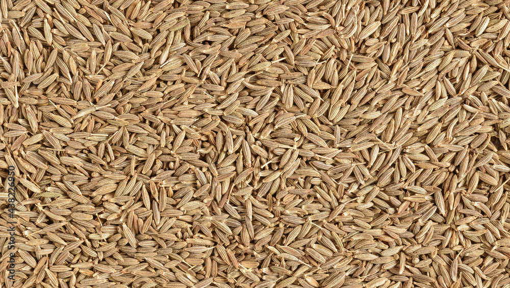 Surface covered with cumin seeds as a backdrop texture composition Surface covered with cumin seeds as a backdrop texture composition