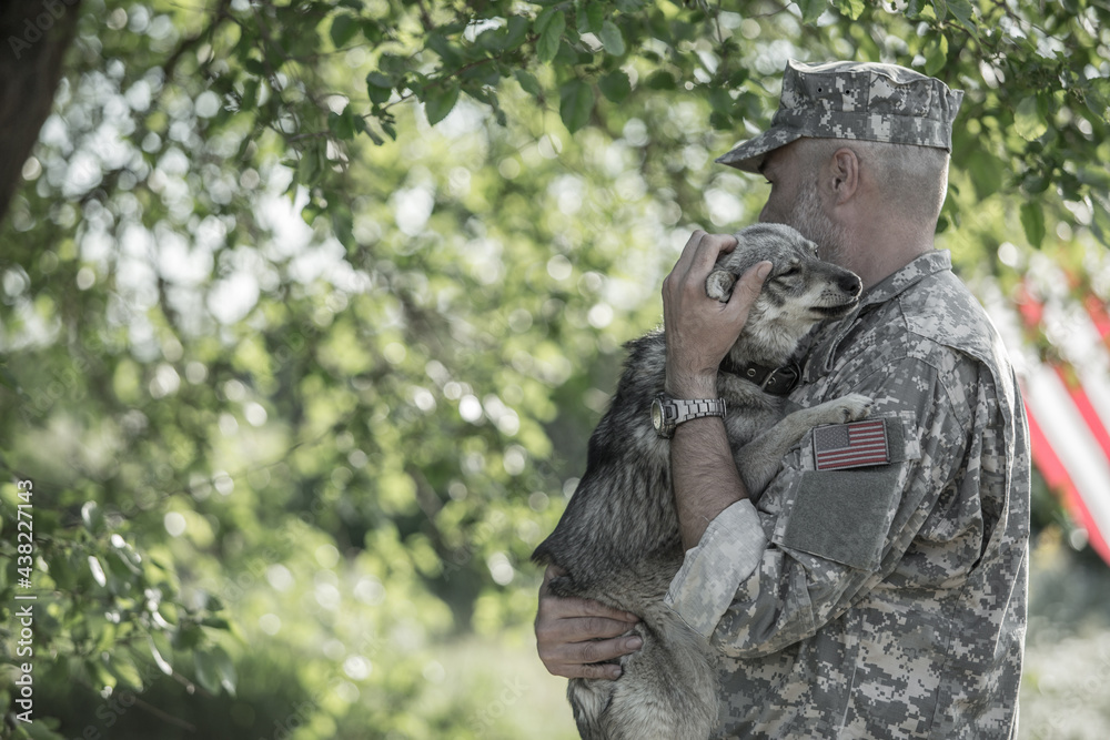 Soldier with military dog outdoors 