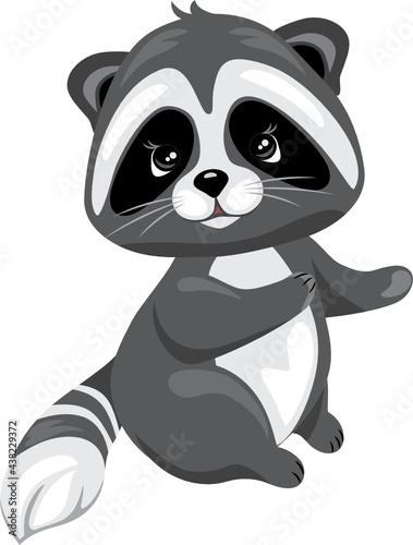 Cute raccoon isolated on white