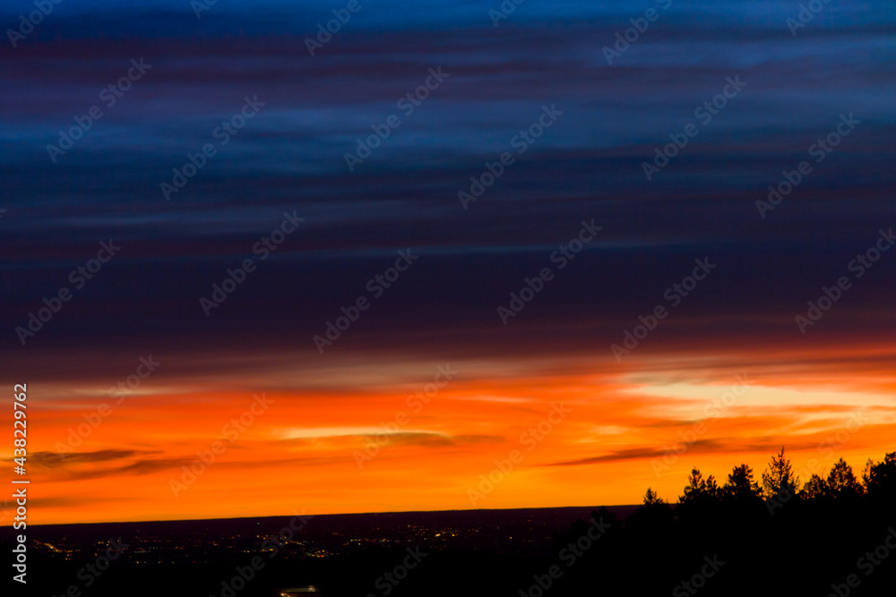 Colorful Sunrise and Spruce - Sunrise clouds and silhouetted coniferous trees in Jefferson County, Colorado with Broncos colors