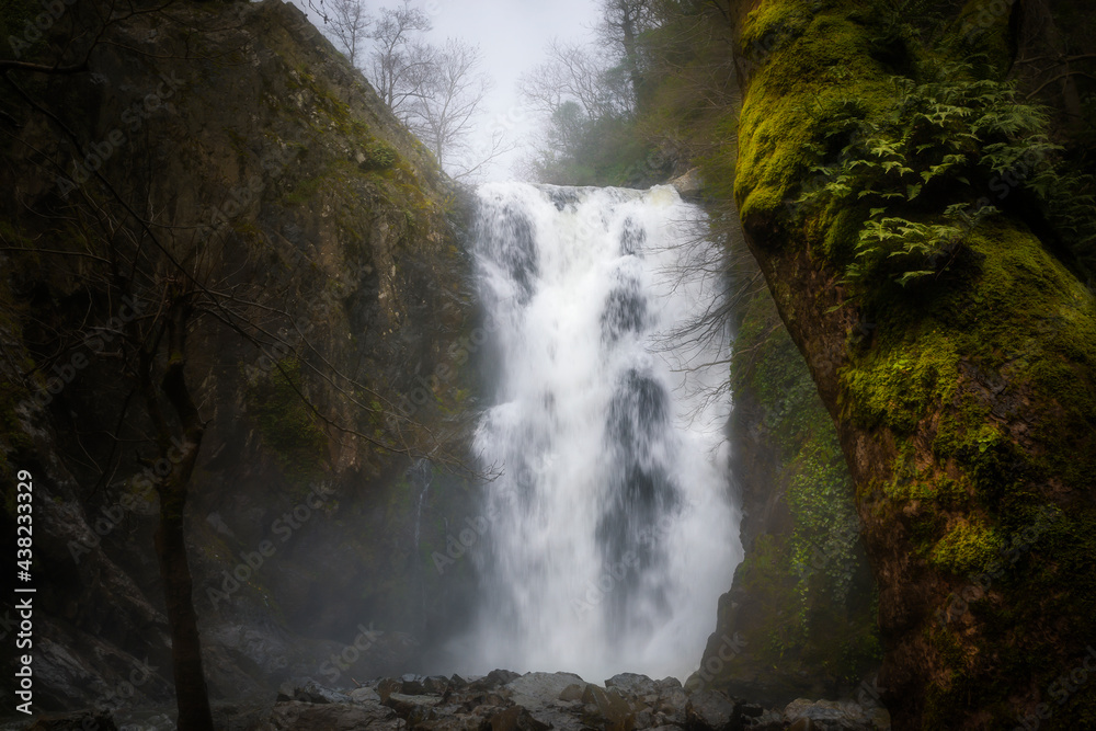 Fototapeta premium It's autumn time. Beautiful waterfall streams and colorful leaves. 