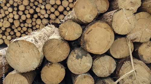 Holzstapel  Fichtenholz  Baustoffmangel