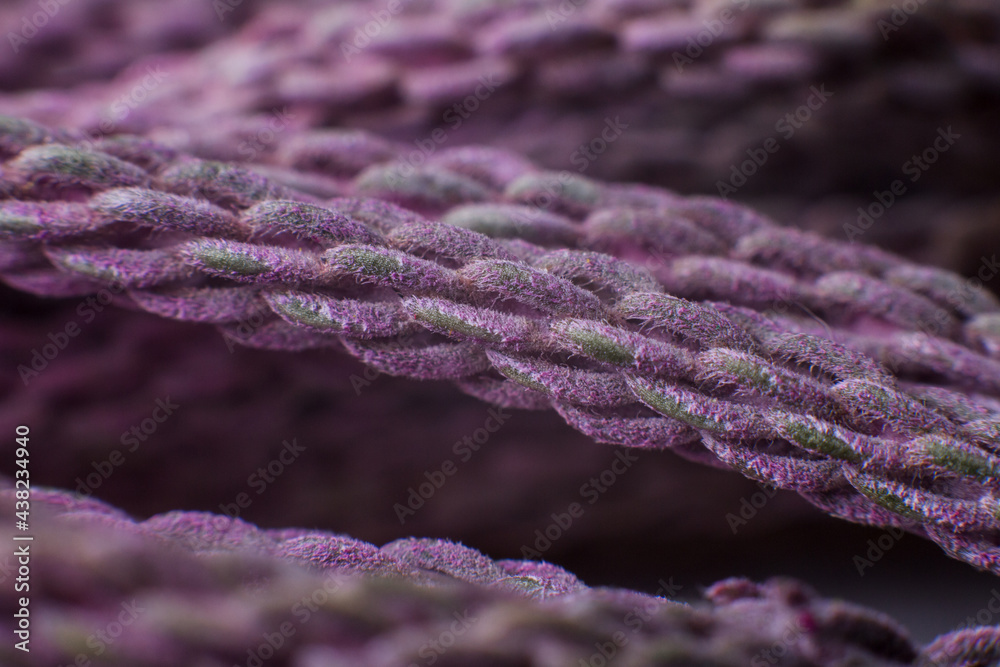 purple threads close up under the microscope background Stock Photo ...