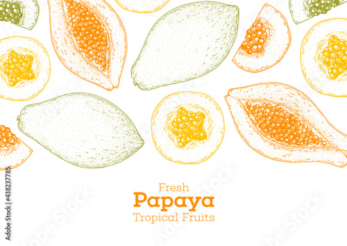 Papaya fruit hand drawn sketch design. Vector illustration. Design, package, brochure illustration. Packaging design. Hand drawn papaya fruits design template. Organic fresh food vector illustration.