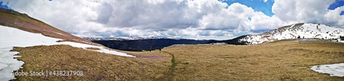  Summer landscape in the mountains - panoramic view
