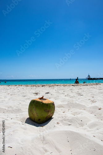 A coconut on the seashore