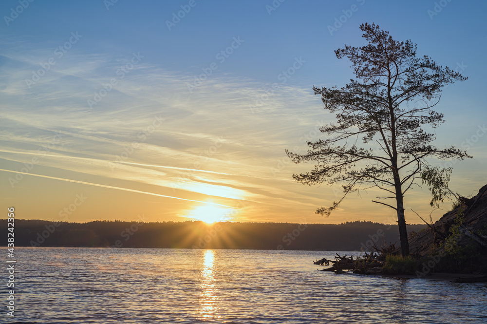 Morning landscape, the silhouette of a pine tree on the river bank against the background of the sunrise with rays and the reflection of the sun path on the water.