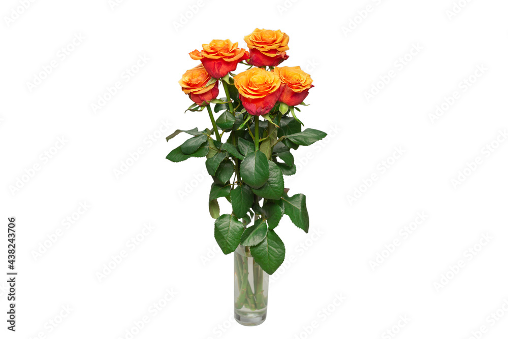 Obraz premium Orange rose isolated on a white background.