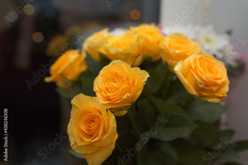 yellow roses on a table