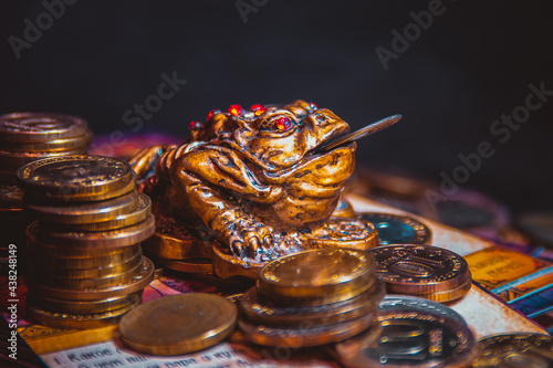 Feng Shui money toad. Chinese frog for money with a coin.