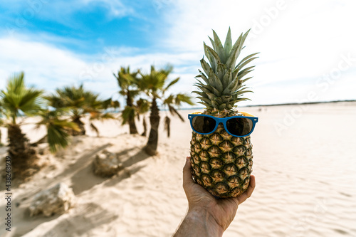 Piña con gafas de sol graciosa en la arena de la playa junto a palmeras y el mar de fondo