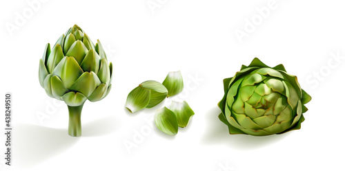 artichoke realistic 3d vector illustration set. Shiny, glossy artichokes side wiew isolated on whive background. Cutted artichoke leafs petals. Perfect for menue, eco, bio, diet symbol of freshness photo