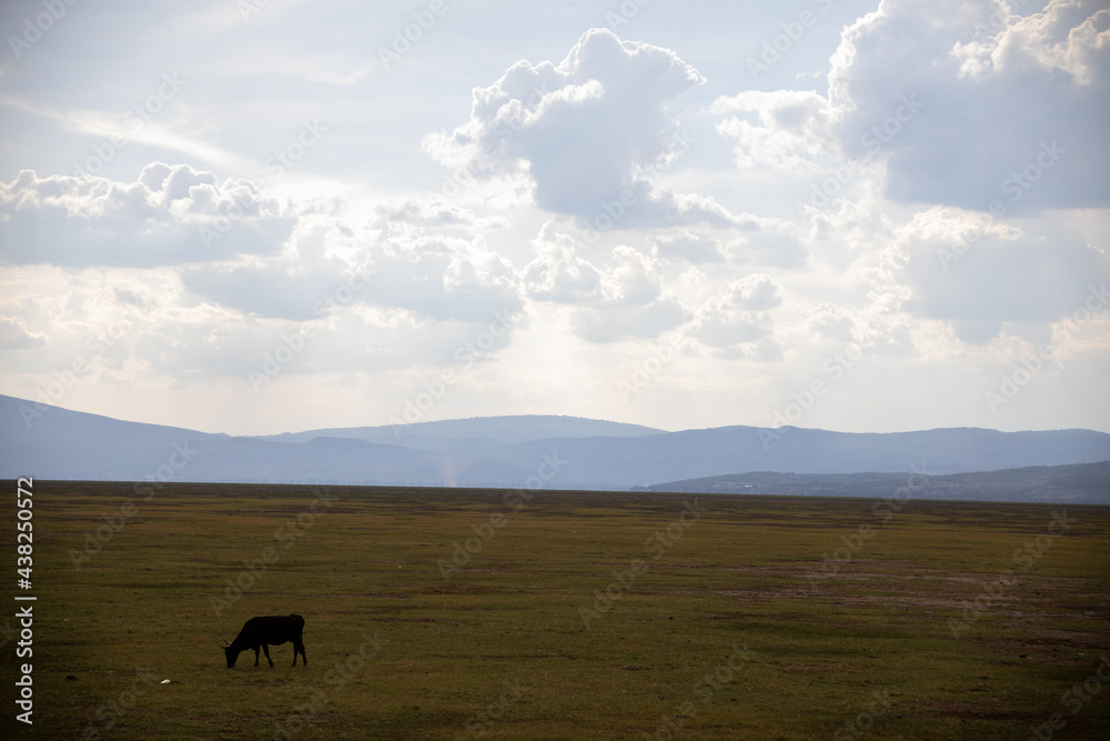 Michoacan, Mexico 06-07-2021, Lake Cuitzeo in Michoacán Mexico is the second largest body of water in Mexico and the number four in the world is currently dry due to lack of rain.