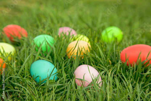 Easter hunt concept. Colourful eggs hidden in green grass.