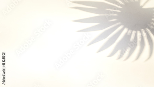 Shadows nature summer background. Plant leaf shadow on white wall in abstract tropical sunlight texture. Tropical travel beach with minimal concept. Flat lay palm nature.