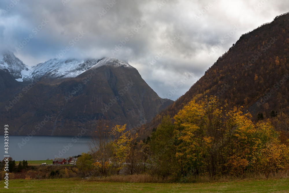 Autumn colour in Urke on the Norangsfjord, Møre og Romsdal, Norway